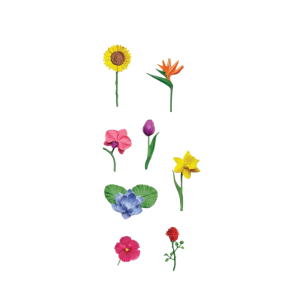 FLORES