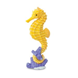 Caballito de mar