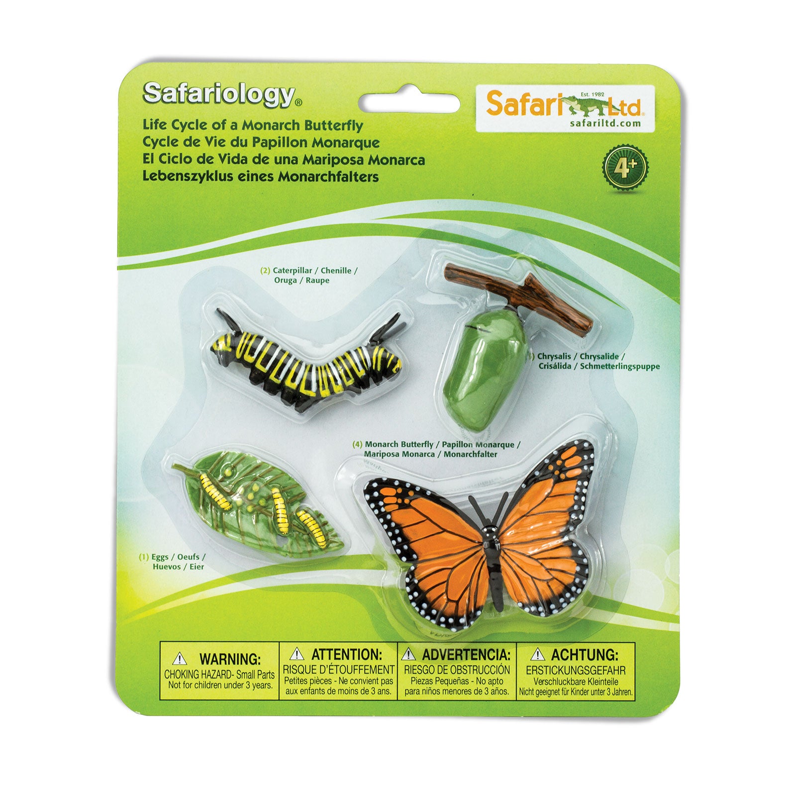 Ciclo de vida de la mariposa