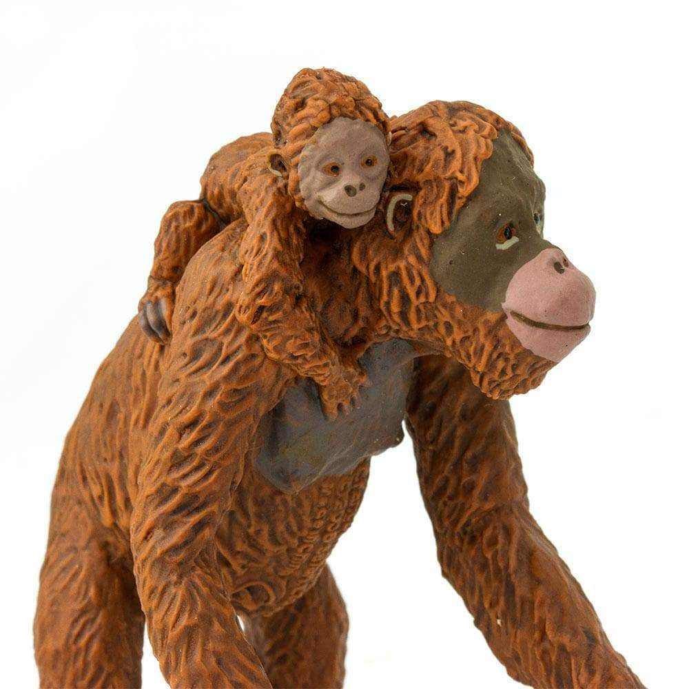 Orangután con bebé - Imagen 2