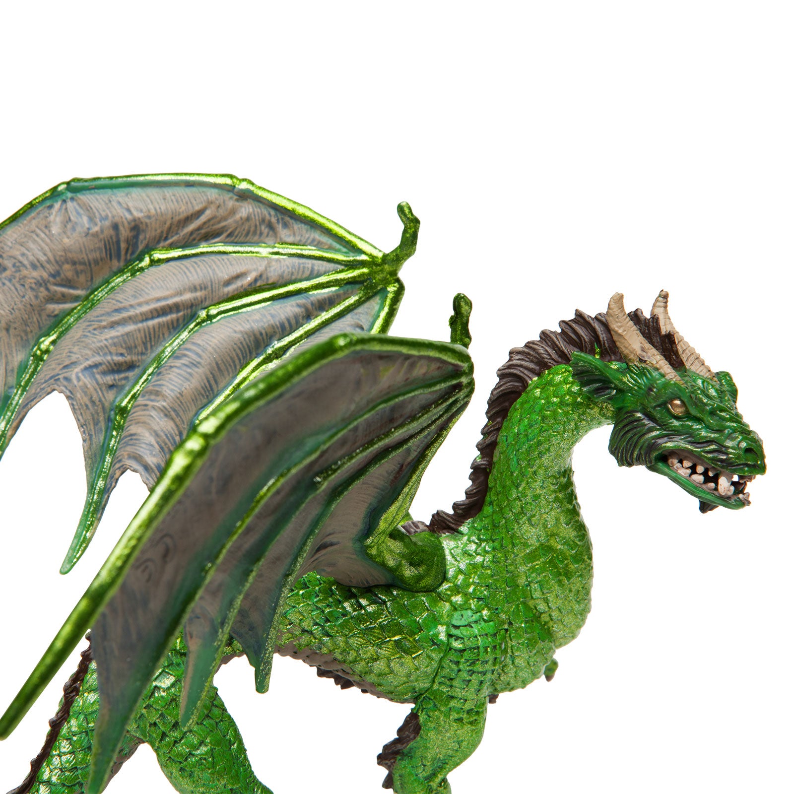 Dragón del bosque - Imagen 2