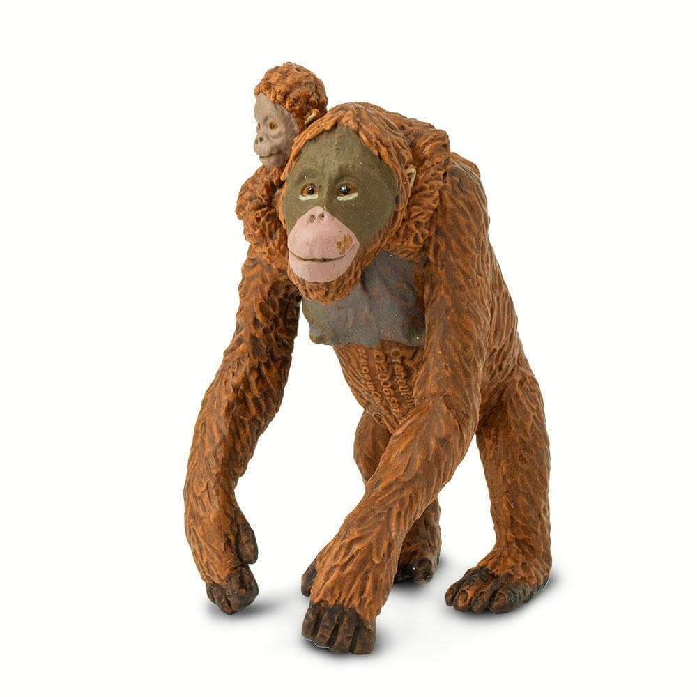 Orangután con bebé - Imagen 3