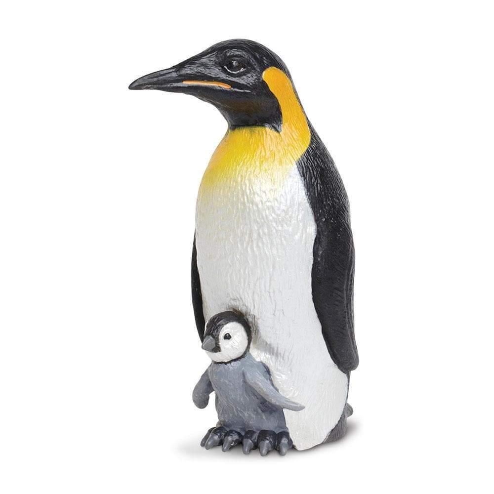 Pingüino con bebé