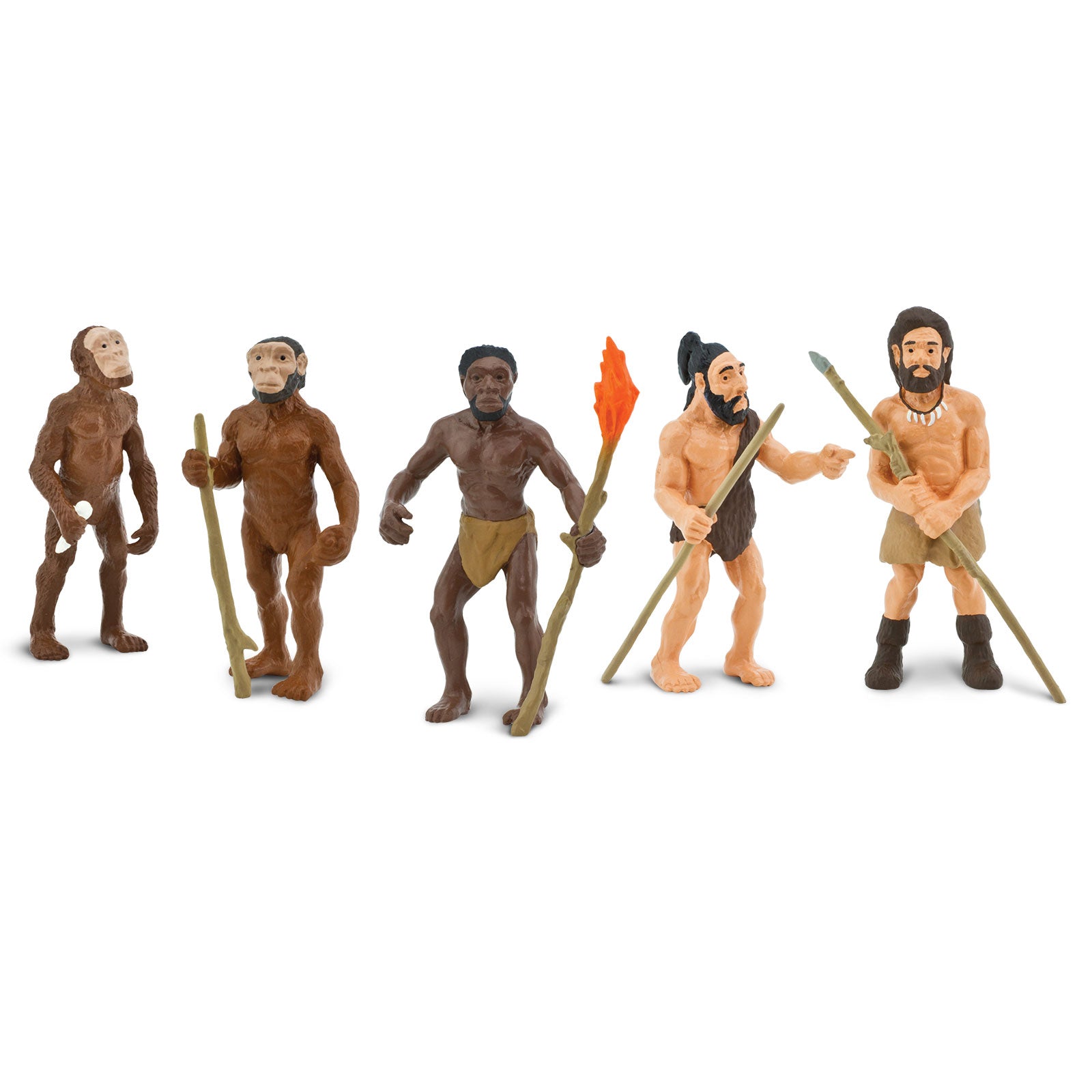 Evolución del hombre - Imagen 2