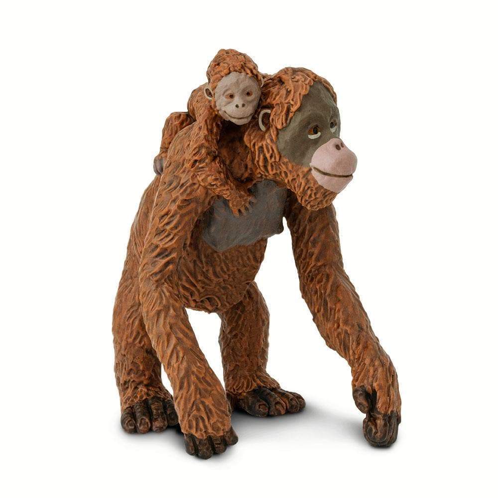 Orangután con bebé